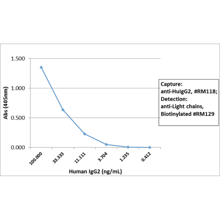 ELISA - Anti-Human IgG2 Antibody (Biotin) [RM118] (A121270) - Antibodies.com