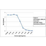 ELISA - Anti-Human IgG3 Antibody (Biotin) [RM119] (A121271) - Antibodies.com