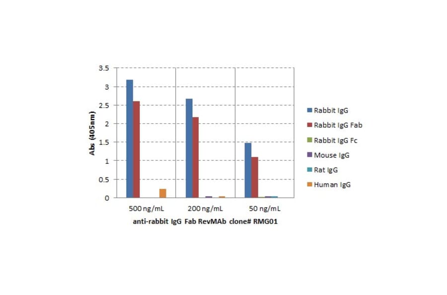 ELISA - Anti-Rabbit IgG F(ab) Antibody (Biotin) [RMG01] (A121276) - Antibodies.com