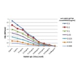 ELISA - Anti-Rabbit IgG F(ab) Antibody (Biotin) [RMG01] (A121275) - Antibodies.com