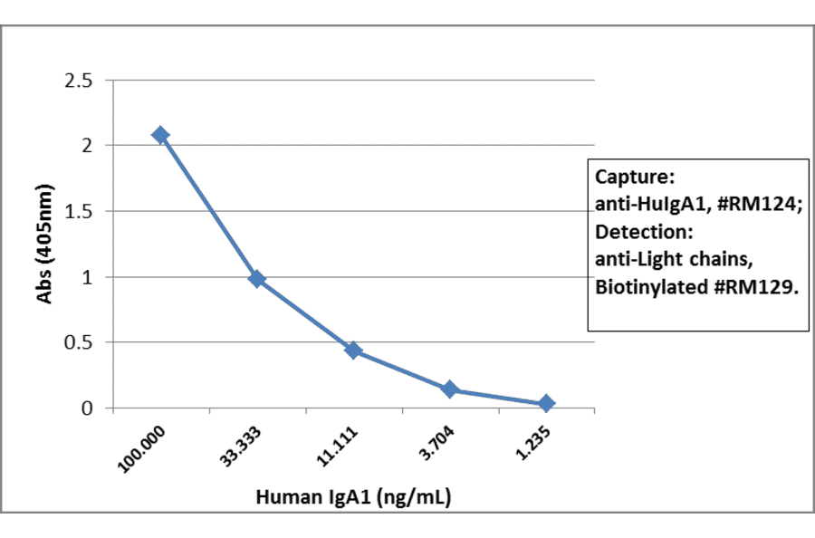 ELISA - Anti-Human IgA1 Antibody (Biotin) [RM124] (A121277) - Antibodies.com