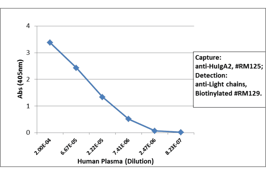 ELISA - Anti-Human IgA2 Antibody (Biotin) [RM125] (A121282) - Antibodies.com