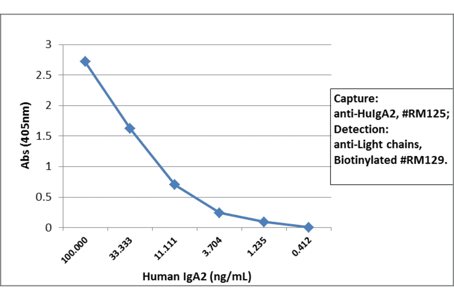ELISA - Anti-Human IgA2 Antibody (Biotin) [RM125] (A121282) - Antibodies.com