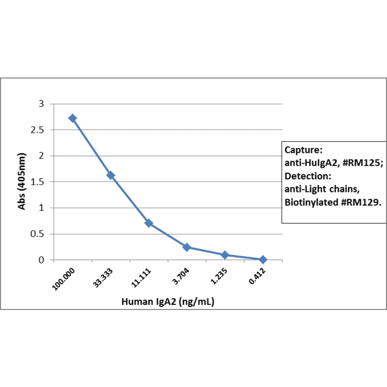 ELISA - Anti-Human IgA2 Antibody (Biotin) [RM125] (A121282) - Antibodies.com