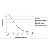ELISA - Anti-Human IgA2 Antibody (Biotin) [RM125] (A121282) - Antibodies.com