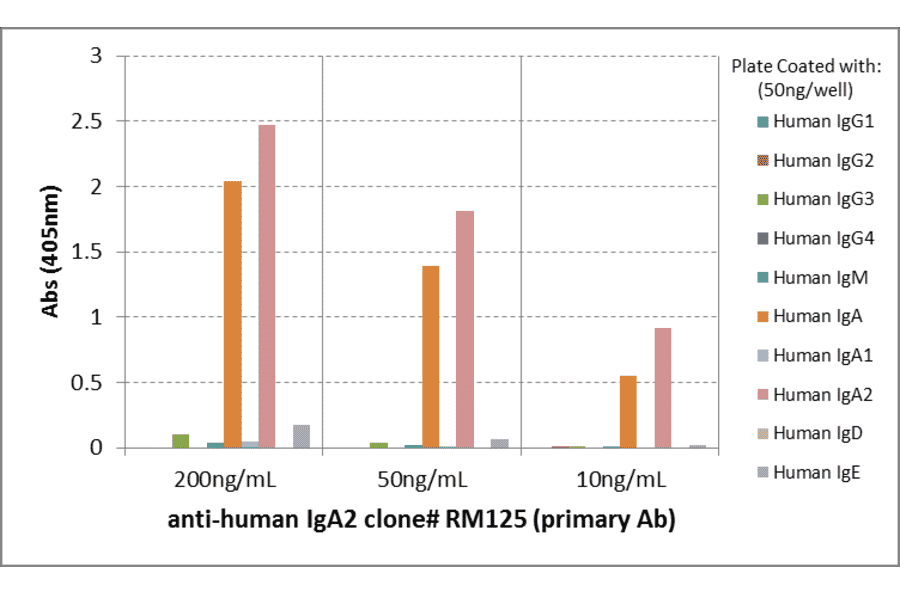 ELISA - Anti-Human IgA2 Antibody (Biotin) [RM125] (A121282) - Antibodies.com