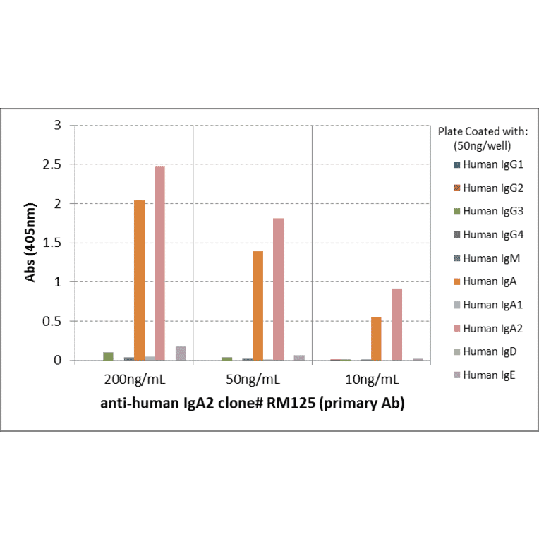 ELISA - Anti-Human IgA2 Antibody (Biotin) [RM125] (A121282) - Antibodies.com