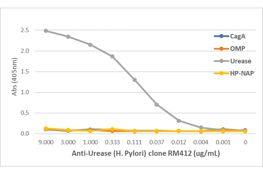 ELISA - Anti-Urease (Helicobacter pylori) Antibody [RM412] (A121287) - Antibodies.com