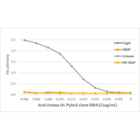 ELISA - Anti-Urease (Helicobacter pylori) Antibody [RM412] (A121287) - Antibodies.com