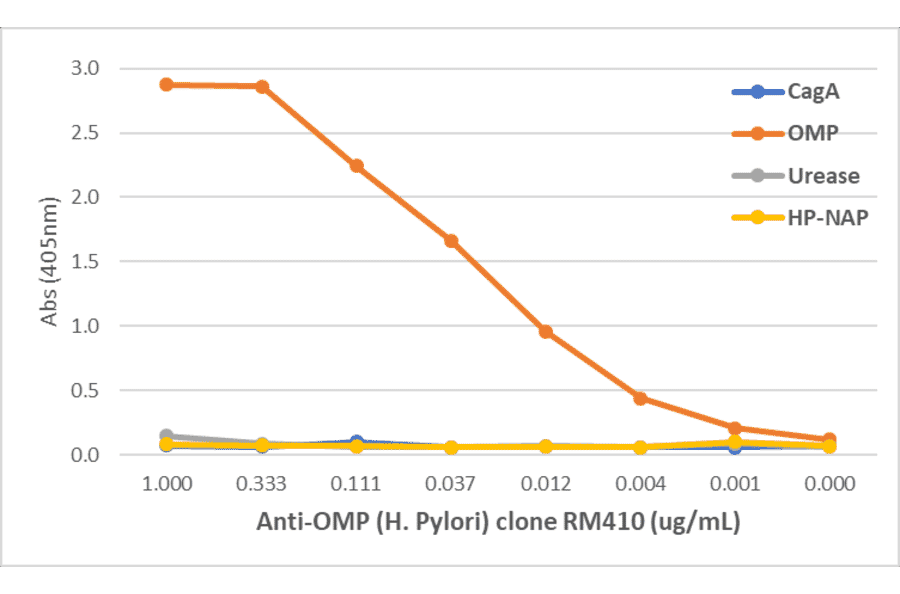 ELISA - Anti-Outer Membrane Protein (Helicobacter pylori) Antibody [RM410] (A0) - Antibodies.com