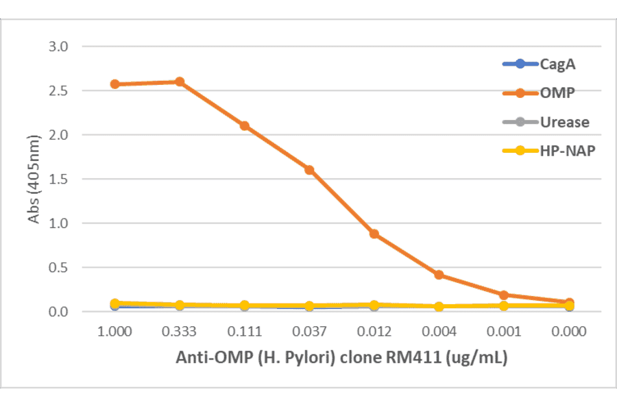 ELISA - Anti-Outer Membrane Protein (Helicobacter pylori) Antibody [RM411] (A121286) - Antibodies.com