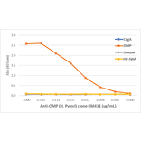ELISA - Anti-Outer Membrane Protein (Helicobacter pylori) Antibody [RM411] (A121286) - Antibodies.com