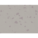 Immunohistochemistry - Anti-Glutamate Receptor 1 (AMPA subtype) (phospho Ser845) Antibody [RM296] (A121406) - Antibodies.com