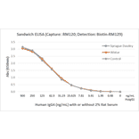 ELISA - Human IgG4 Matched Antibody Pair Kit (A121304) - Antibodies.com