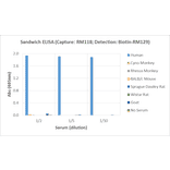 ELISA - Human IgG2 Matched Antibody Pair Kit (A121306) - Antibodies.com