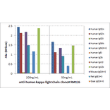 ELISA - Anti-Kappa Light Chain Antibody [RM126] (A121308) - Antibodies.com