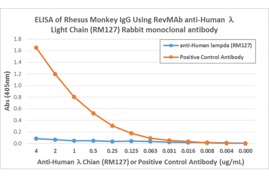 ELISA - Anti-Lambda Light Chain Antibody [RM127] (A121310) - Antibodies.com
