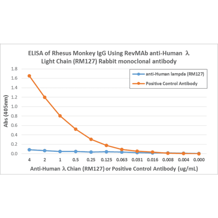 ELISA - Anti-Lambda Light Chain Antibody [RM127] (A121310) - Antibodies.com