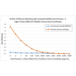 ELISA - Anti-Lambda Light Chain Antibody [RM127] (A121310) - Antibodies.com