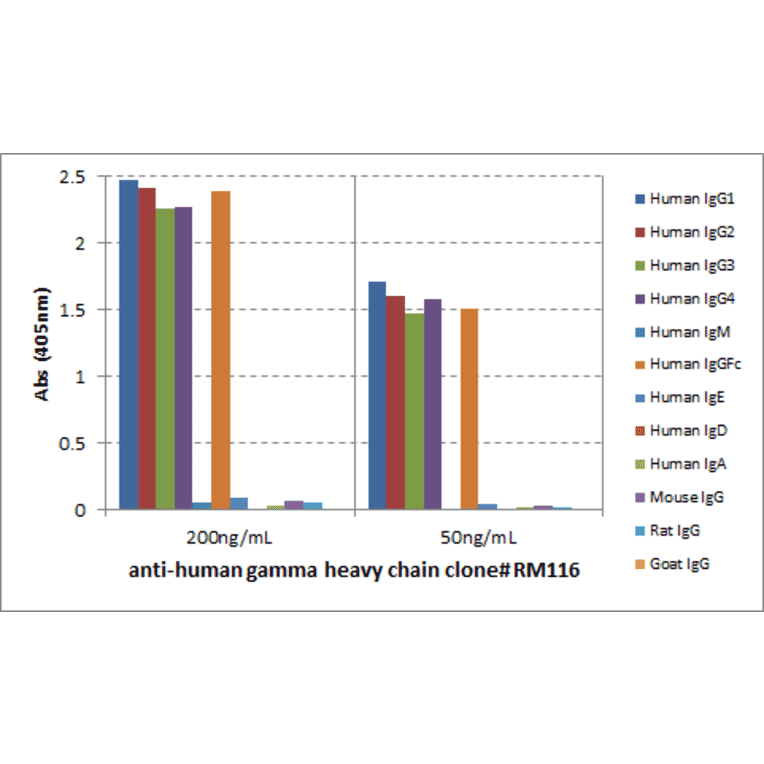ELISA - Anti-gamma Heavy Chain Antibody [RM116] (A121312) - Antibodies.com