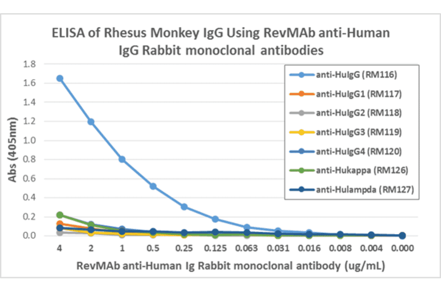 ELISA - Anti-gamma Heavy Chain Antibody [RM116] (A121312) - Antibodies.com