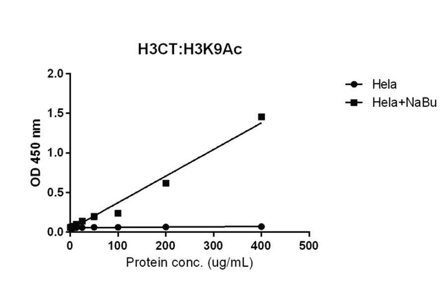 ELISA - Anti-pan Histone H3 Antibody [RM188] (A121319) - Antibodies.com