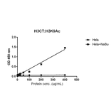 ELISA - Anti-pan Histone H3 Antibody [RM188] (A121319) - Antibodies.com