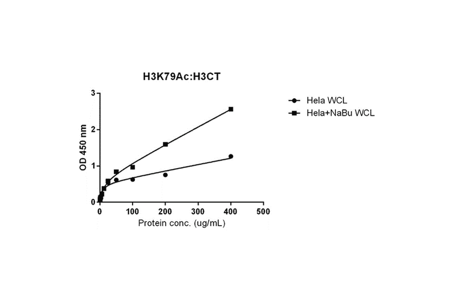 ELISA - Anti-pan Histone H3 Antibody [RM188] (A121319) - Antibodies.com
