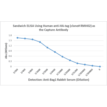 ELISA - Anti-HA Tag Antibody [RMH02] (A121359) - Antibodies.com