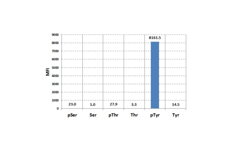 Multiplex Immunoassay - Anti-Phosphothreonine Antibody [RM111] (A121324) - Antibodies.com