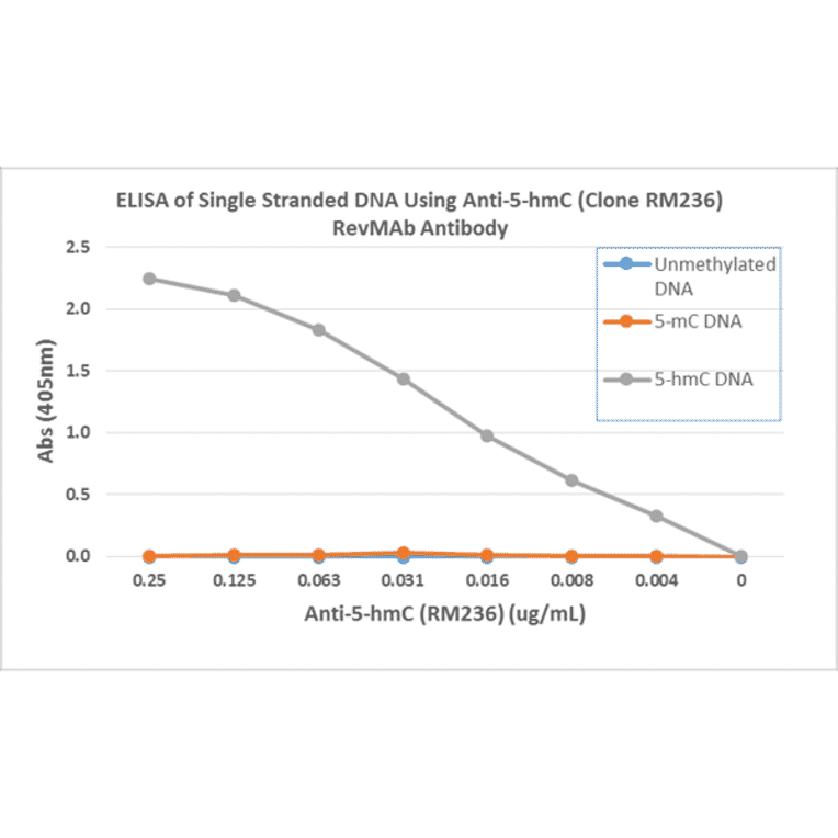 ELISA - Anti-5-hydroxymethylcytosine Antibody [RM236] (A121325) - Antibodies.com
