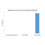 Methylated DNA Immunoprecipitation - Anti-5-hydroxymethylcytosine Antibody [RM236] (A121325) - Antibodies.com