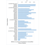 Immunoprecipitation - Anti-acetylated Lysine Antibody [RM101] (A121327) - Antibodies.com