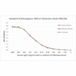 ELISA - Anti-Human IgG1 Antibody [RM117] (A121337) - Antibodies.com