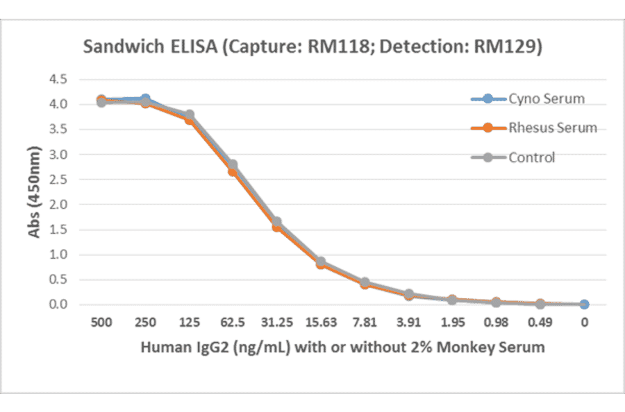 ELISA - Anti-Human IgG2 Antibody [RM118] (A121338) - Antibodies.com