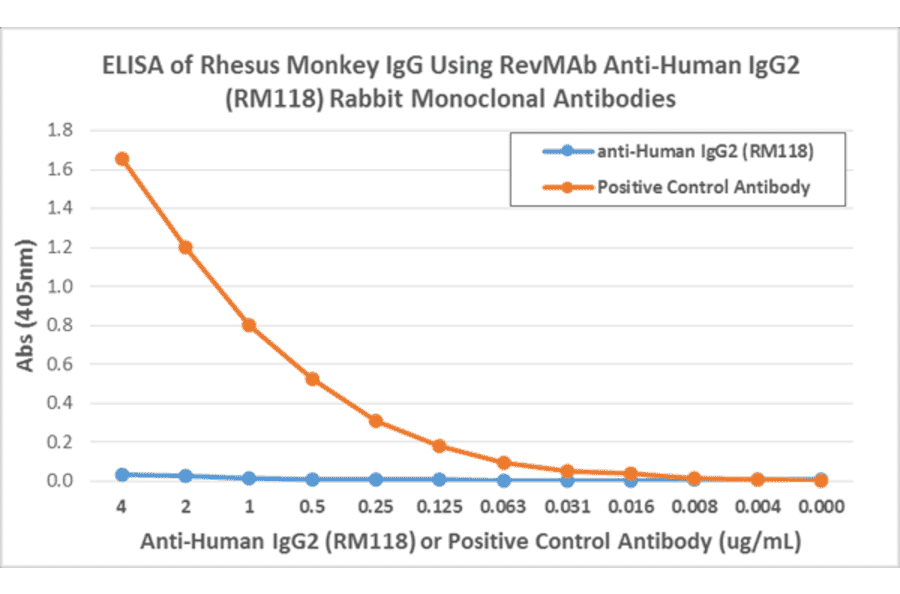 ELISA - Anti-Human IgG2 Antibody [RM118] (A121338) - Antibodies.com