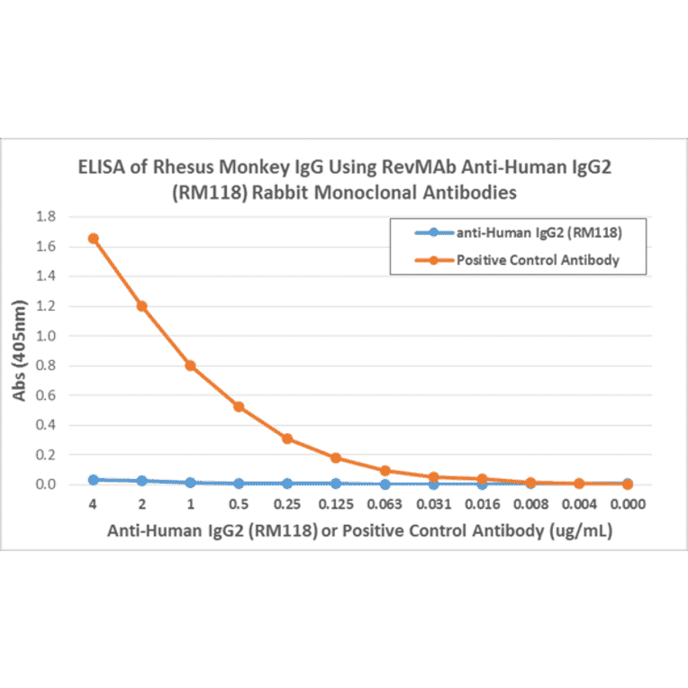 ELISA - Anti-Human IgG2 Antibody [RM118] (A121338) - Antibodies.com