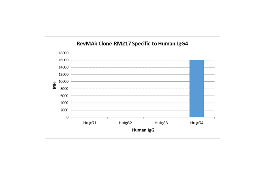 Multiplex Immunoassay - Anti-Human IgG4 Fc Antibody [RM217] (A121340) - Antibodies.com