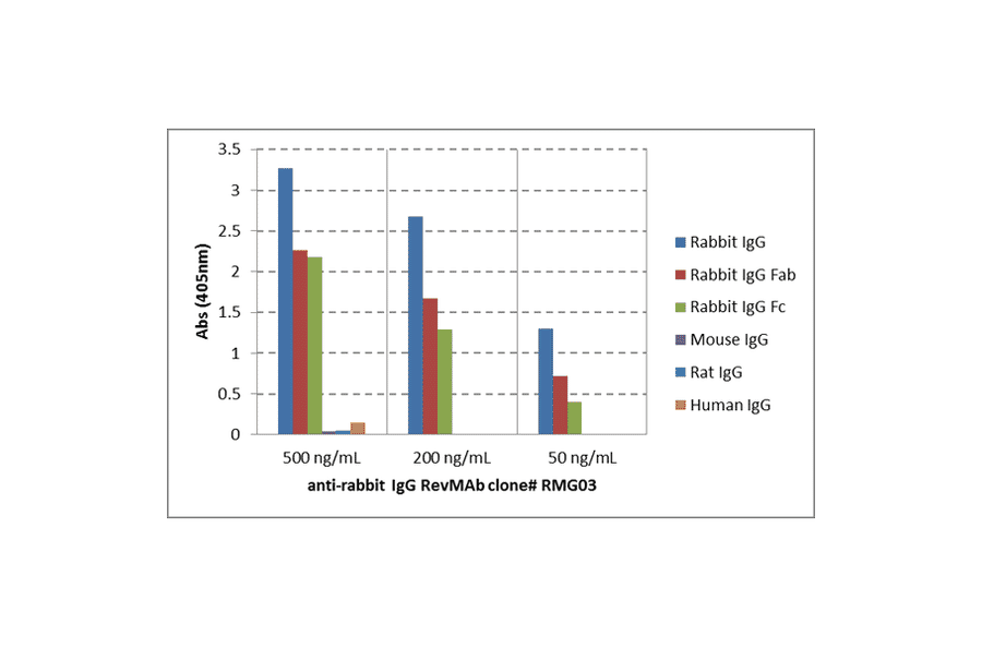 ELISA - Anti-Rabbit IgG Antibody [RMG03] (A121342) - Antibodies.com