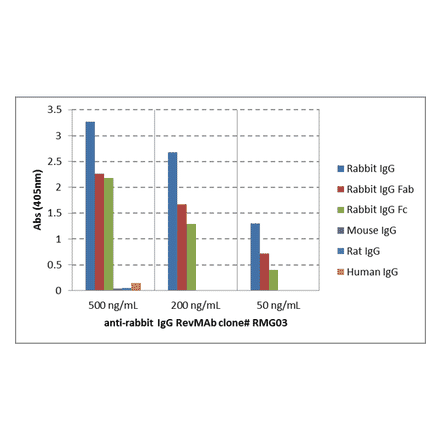 ELISA - Anti-Rabbit IgG Antibody [RMG03] (A121342) - Antibodies.com