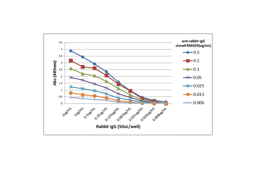 ELISA - Anti-Rabbit IgG Antibody [RMG03] (A121261) - Antibodies.com