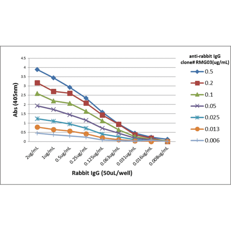 ELISA - Anti-Rabbit IgG Antibody [RMG03] (A121261) - Antibodies.com