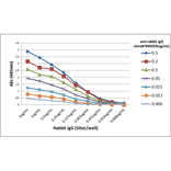 ELISA - Anti-Rabbit IgG Antibody [RMG03] (A121261) - Antibodies.com
