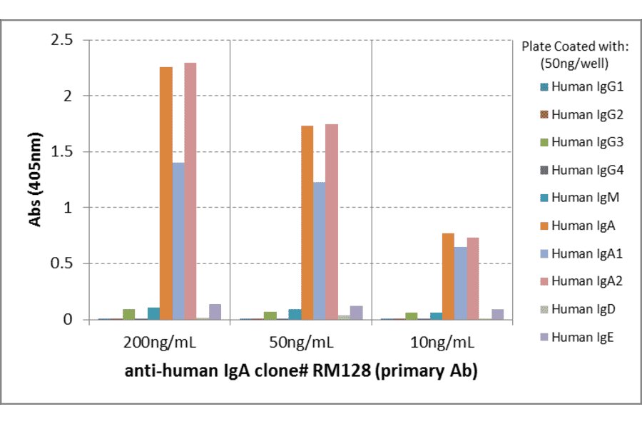 ELISA - Anti-Human IgA Antibody [RM128] (A121345) - Antibodies.com