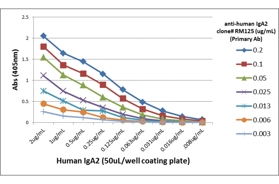 ELISA - Anti-Human IgA2 Antibody [RM125] (A121277) - Antibodies.com