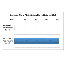 Multiplex Immunoassay - Anti-Histone H3 Antibody [RM190] (A121319) - Antibodies.com
