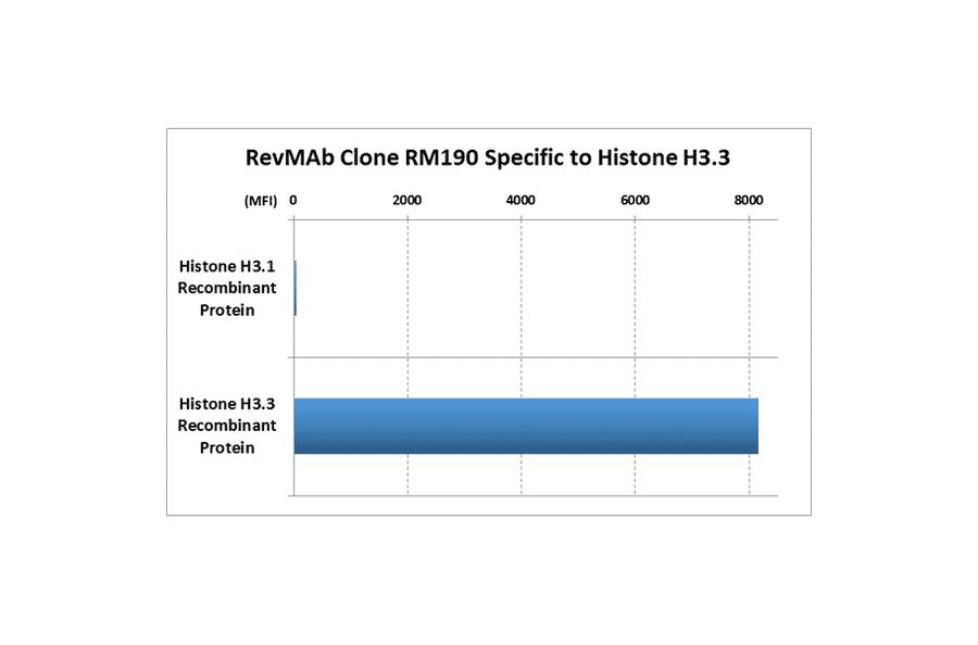 Multiplex Immunoassay - Anti-Histone H3 Antibody [RM190] (A121319) - Antibodies.com