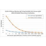 ELISA - Anti-Human IgG4 Antibody [RM120] (A121351) - Antibodies.com