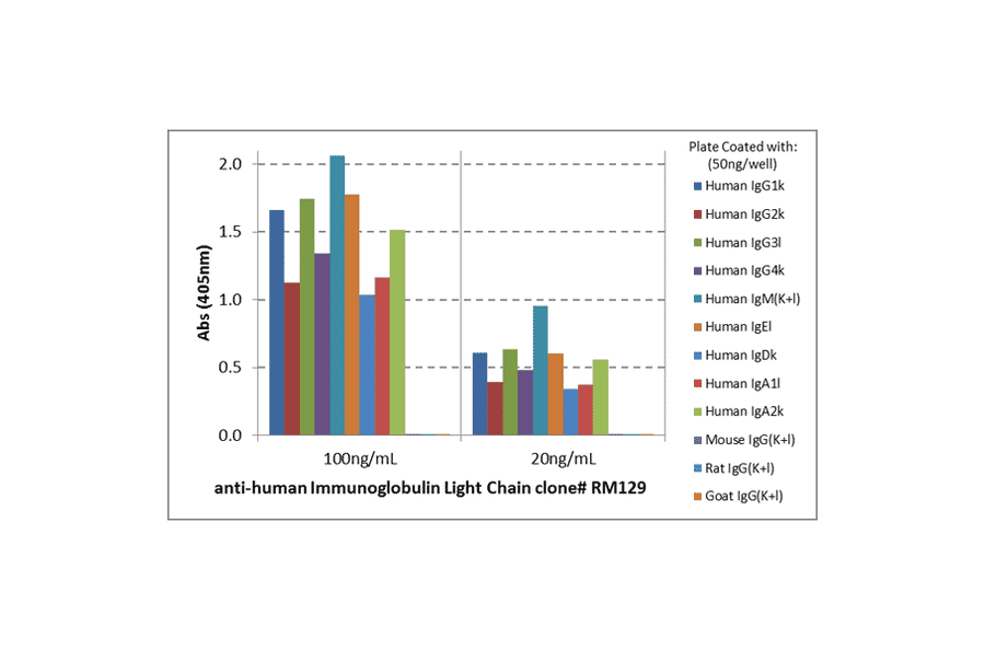 ELISA - Anti-Human Ig Light Chain Antibody [RM129] (A121353) - Antibodies.com
