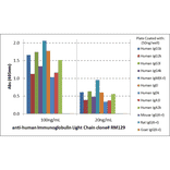 ELISA - Anti-Human Ig Light Chain Antibody [RM129] (A121353) - Antibodies.com